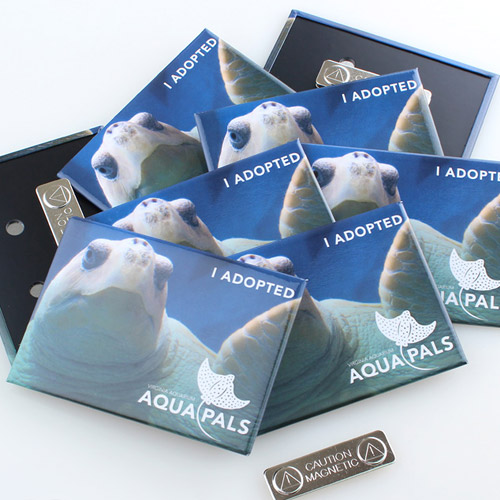 Custom Virginia Aquarium Clothing Magnets